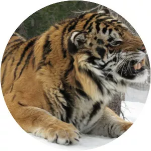 National Geographic Farsi