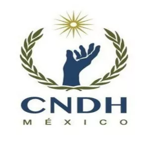 National Human Rights Commission - National human rights institution