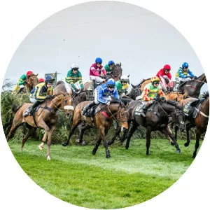 National Hunt racing photograph