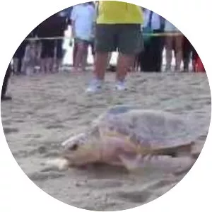 National Marine Life Center