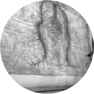 National Museum of Mexican Art