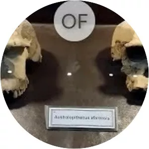 National Museum Of Pakistan