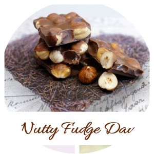 National Nutty Fudge Day