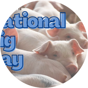 National Pig Day