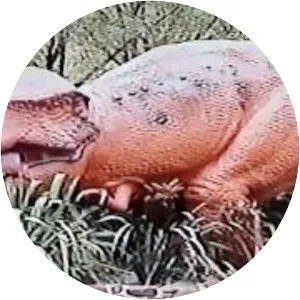 National Showcaves Centre for Wales - 