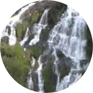 National Trust - Hafod y Llan - 