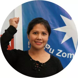 Natividad Llanquileo