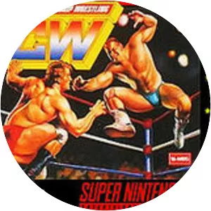 Natsume Championship Wrestling