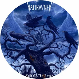 Nattravnen - Musical group