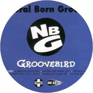 Natural Born Grooves