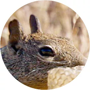 Natural Born Hustlers - TV program