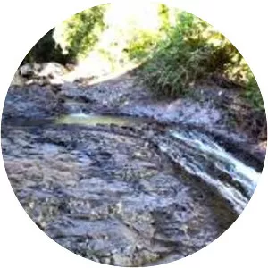 Natural Bridge, Springbrook National Park - 