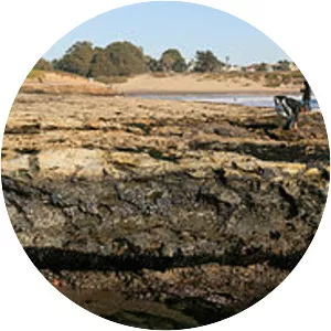 Natural Bridges State Marine Reserve - Nature reserve in California