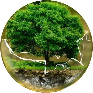 Natural environment photograph