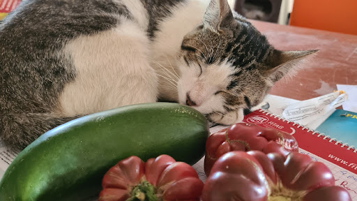Natural gardens tucutuco