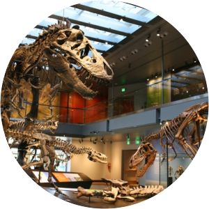 Natural History Museum of Los Angeles County