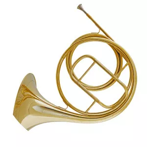 Natural horn