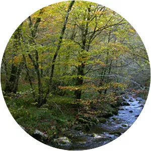 Natural Park of Fuentes del Narcea, . . .