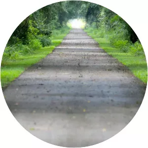 Nature Coast State Trail - 