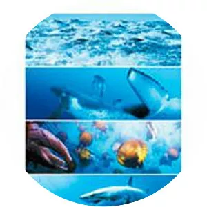 Nature Oceans - 2009 ‧ Drama/Nature documentary ‧ 1h 44m