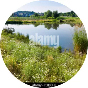 Nature Park Klánovice-Čihadla