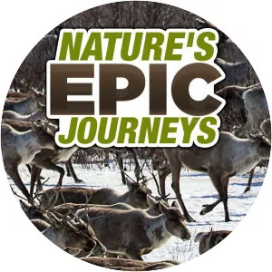Nature's Epic Journeys