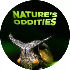 Nature's OdditiesSince 2020