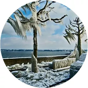 Nature's Weirdest Events - TV series