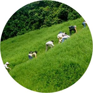 Nature Society (Singapore)