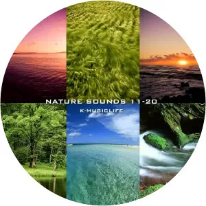 Nature Sound Collection - Musical artist