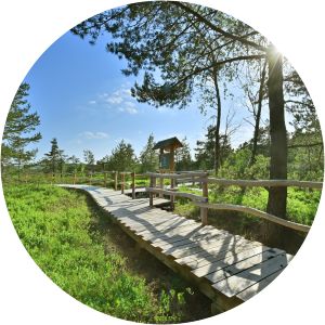 nature trail black moor naturlehrpfad gangolfsberg