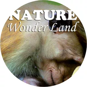 Nature Wonder LandSince 2007