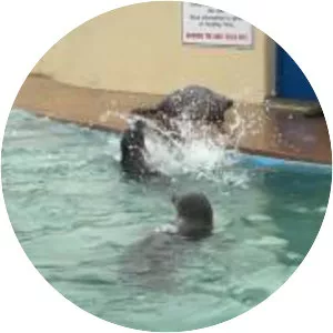 Natureland Seal Sanctuary