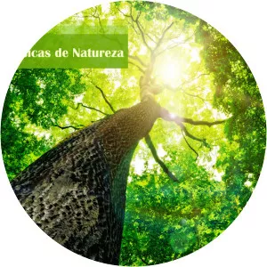 Natureza - Musical artist