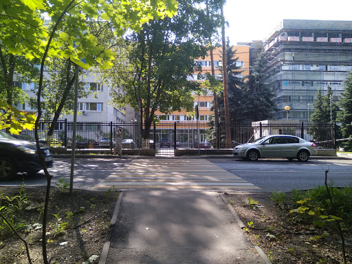 Nauchno-Issledovatel'skiy Institut Transplantologii I Iskusstvennykh Organov