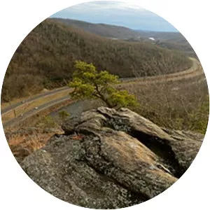 Naugatuck State Forest - 