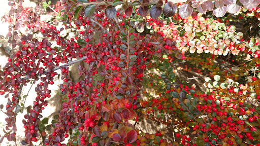 Navata Park - City park in La Navata, Spain