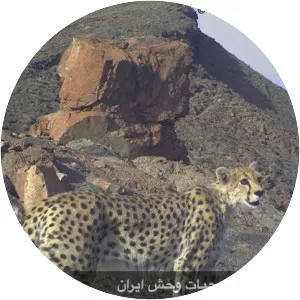 Naybandan Wildlife Sanctuary - 