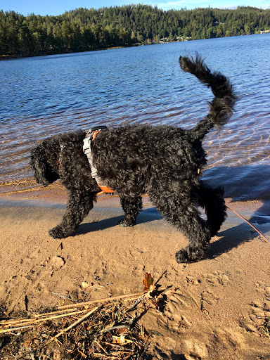 NBN Villgott's Hund - Dog trainer in Boras, Sweden