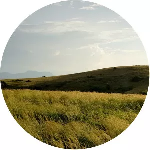 Ndere Island - Island in Kenya