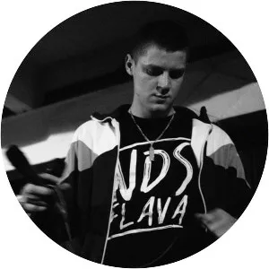 NDS FLAVA