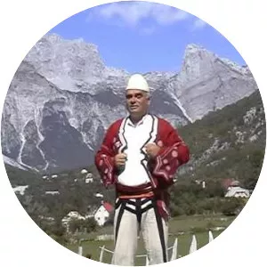 Ndue Shytani - Musical artist