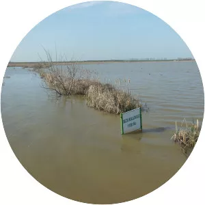 Neajlov Delta - River delta in Valaquia