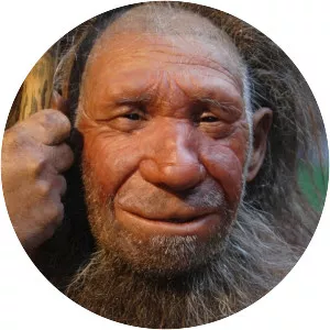 Neanderthal - Primate