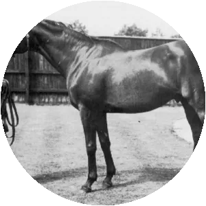 Nearco