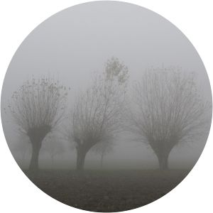 Nebbia in Val Padana