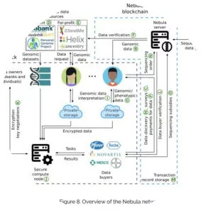 Nebula Genomics
