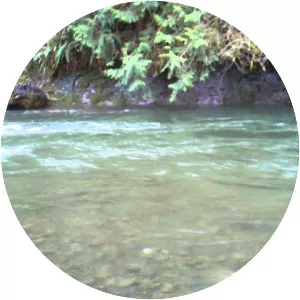 Necanicum River