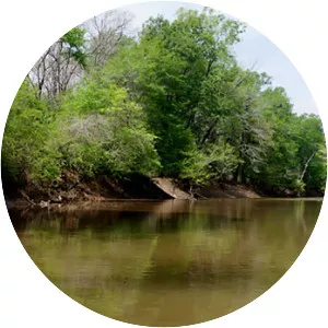 Neches River - River in Texas