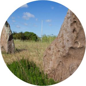 necropolis of pranu muttedu menhir 